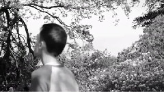欧美群星 - Not A Word