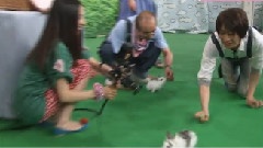 岚 - 天才!志村どうぶつ园 相叶雅纪Cut 中文字幕 11/07/16
