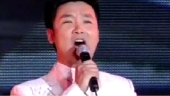 刘和刚 - 当家做主