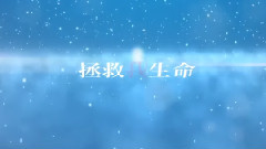 华语群星 - 你爱降临 Your Love Falls