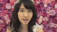 AKB48,柏木由纪 - 柏木由紀 プロポーズされたいゼクシィ