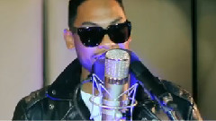 Vixen - Miguel