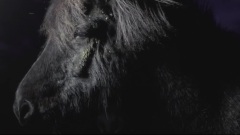 群星 - So Far So Long