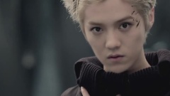 狼与美女(Wolf)