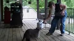 搞笑音乐 - The Hillbilly Slide And One Mad Coon