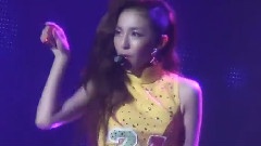 2NE1,Sandara Park - New Evolution Concert In Osaka