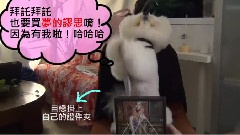 蔡依林 - Andy WhooHoo