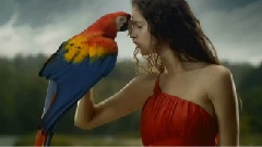 Seal - Kiss From A Rose 中英字幕
