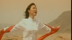 林萍 - 岁月的脚步