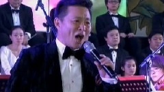 王宏伟 - 牡丹之歌