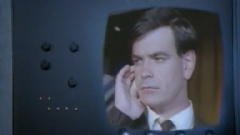 The Wedding Present - Yeah Yeah Yeah Yeah Yeah