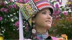 洛琴 - 春不来花不开