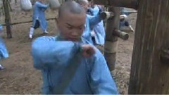 林志颖 - 少林寺传奇
