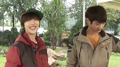 SHINee,f(x) - 韩剧