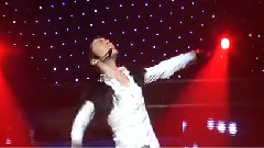 辉星 - 完美男人