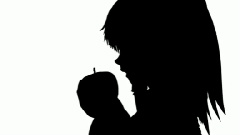 东方project - Bad Apple