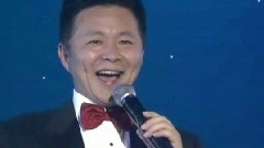 王宏伟 - 西部放歌 & 武当山歌 & 天下太极出武当