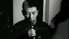退烧乐队 - 向阳花