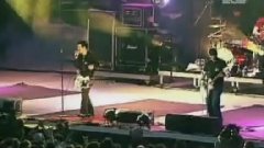 SUM 41 - Noots