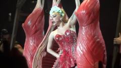 Lady Gaga - Americano