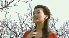 谭晶 - 春到杏花村