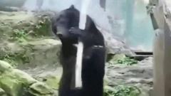 搞笑音乐,音乐短片 - 功夫王之风云雄霸天下