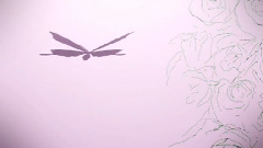 VOLTA MASTERS - Butterfly