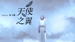 杨丞琳 - 天使之翼