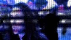 欧美群星 - Punkrocker 2.1