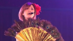 滨崎步 - Will Countdown Live