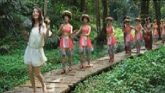 董冬 - 春暖花开