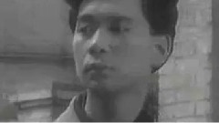 蔡枫华 - 叛逆