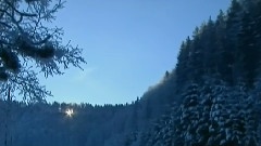 关贵敏 - 驼铃