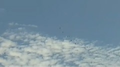 李谷一 - 难忘今宵