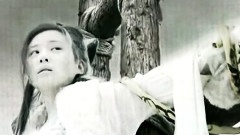 刘诗诗 - 花千骨