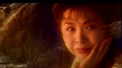 董文华 - 归航