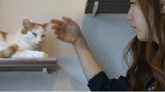 T-ara - NHKG MJ Presents