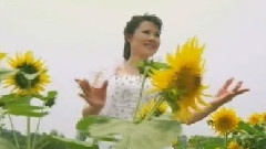 华语群星 - 我的江汉大平原