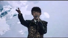 魏晨 - 石家庄歌友会