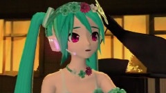 初音未来 - Bouquet