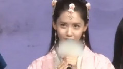 允儿(少女时代),华语群星,林更新,少女时代 - <武神赵子龙>首映会报道