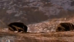 音乐短片 - Music Vangelis