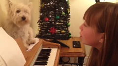 Connie Talbot - Make You Feel My Love (Cover)