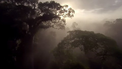 音乐短片 - 地球母亲-让人瞠目结舌的景观