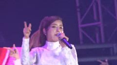 A Pink - Mr.Chu