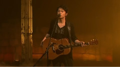 福山雅治 - クスノキ 樟木