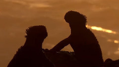 音乐短片 - 大海