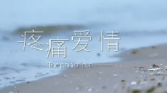 华语群星 - 疼痛爱情