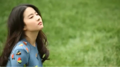 音乐短片,刘亦菲 - 花黄瘦