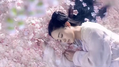 董贞 - 爱殇